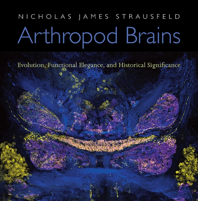 Arthropod Brains : Evolution, Functional Elegance, and Historical Significance, Hardback Book