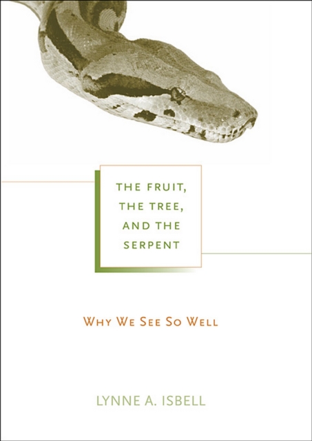 The Fruit, the Tree, and the Serpent : Why We See So Well, PDF eBook