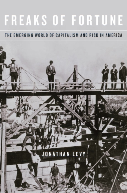 Freaks of Fortune : The Emerging World of Capitalism and Risk in America, EPUB eBook