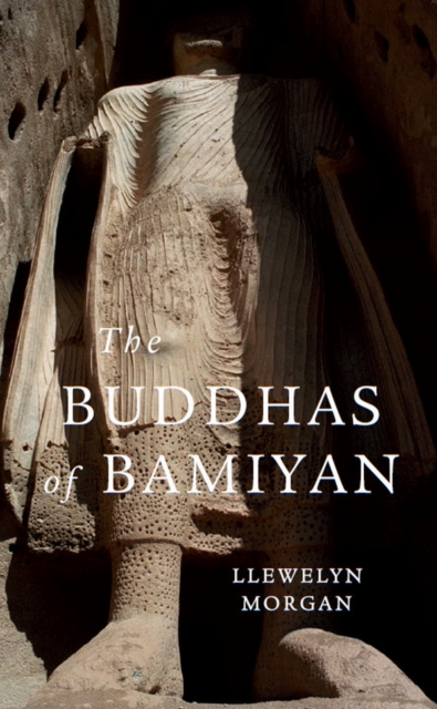The Buddhas of Bamiyan, EPUB eBook