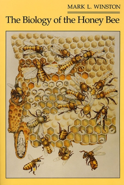 The Biology of the Honey Bee, Paperback / softback Book