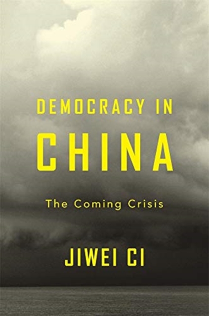 Democracy in China : The Coming Crisis, Hardback Book