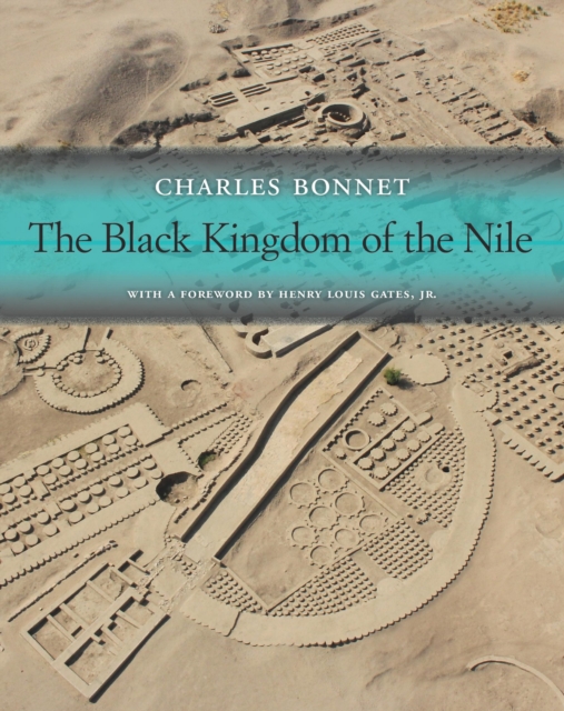 The Black Kingdom of the Nile, EPUB eBook