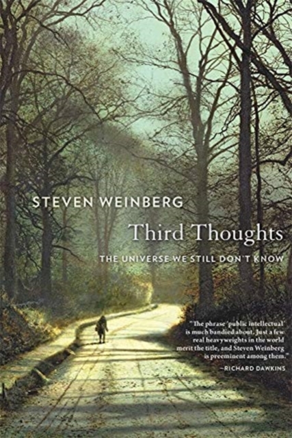 Third Thoughts : The Universe We Still Don’t Know, Paperback / softback Book
