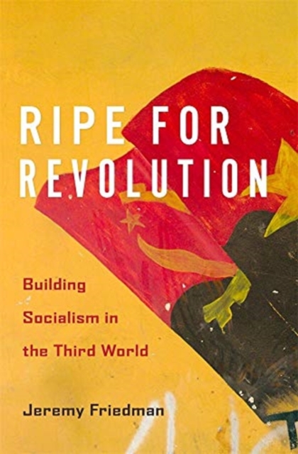 Ripe for Revolution : Building Socialism in the Third World, Hardback Book