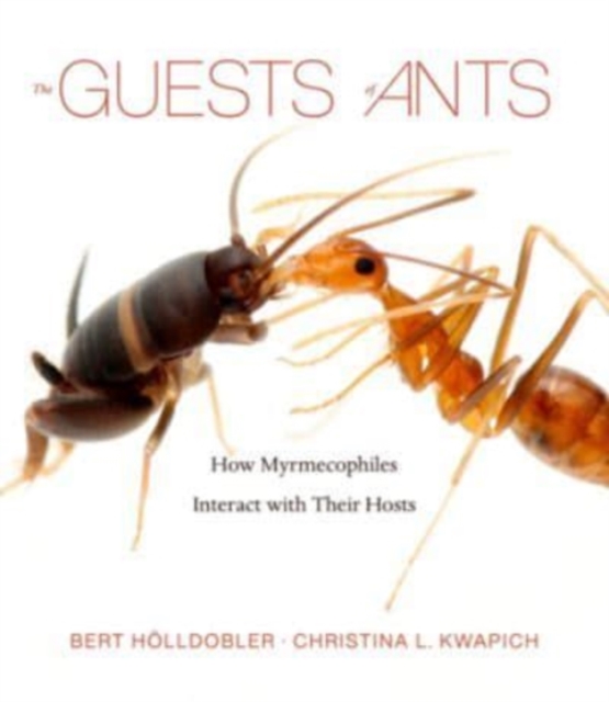 The Guests of Ants : How Myrmecophiles Interact with Their Hosts, Hardback Book