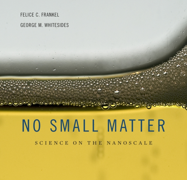 No Small Matter : Science on the Nanoscale, PDF eBook