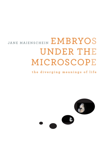 Embryos under the Microscope : The Diverging Meanings of Life, EPUB eBook