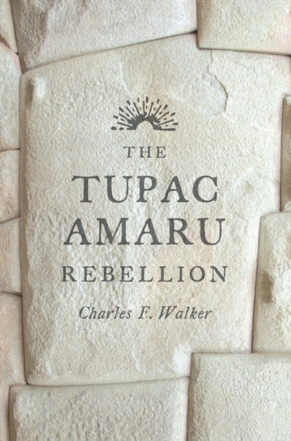 The Tupac Amaru Rebellion, EPUB eBook