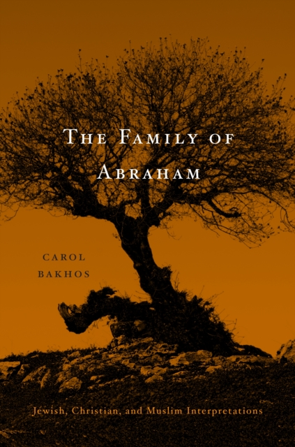 The Family of Abraham : Jewish, Christian, and Muslim Interpretations, EPUB eBook