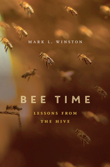 Bee Time : Lessons from the Hive, EPUB eBook