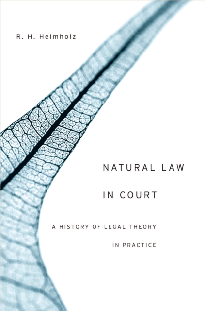 Natural Law in Court : A History of Legal Theory in Practice, EPUB eBook
