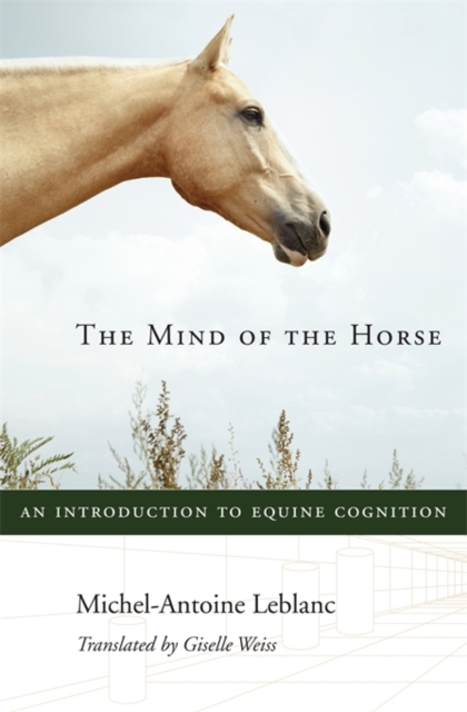 The Mind of the Horse : An Introduction to Equine Cognition, Hardback Book