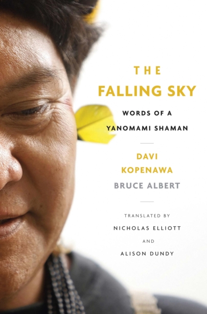 The Falling Sky, EPUB eBook