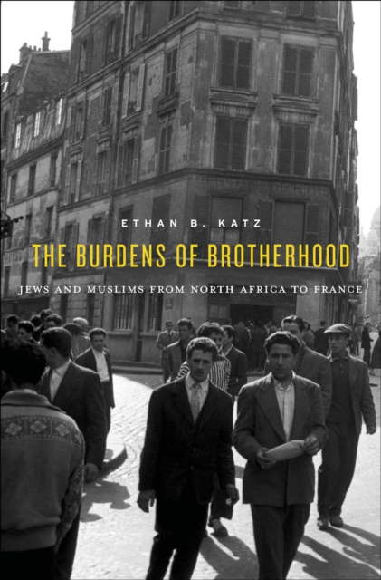 The Burdens of Brotherhood : Jews and Muslims from North Africa to France, EPUB eBook