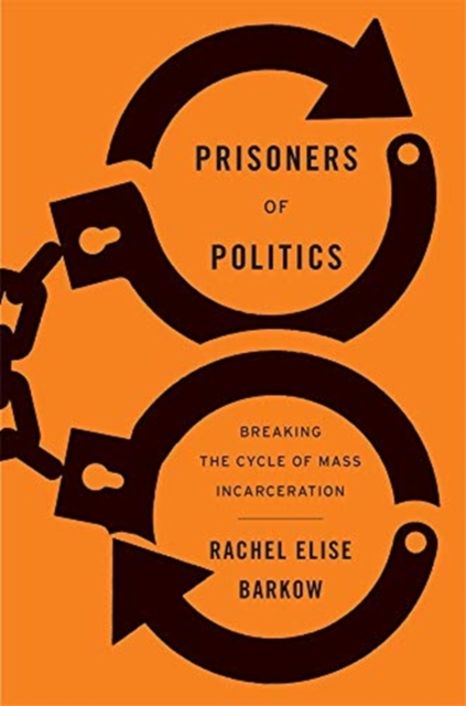 Prisoners of Politics : Breaking the Cycle of Mass Incarceration, Hardback Book