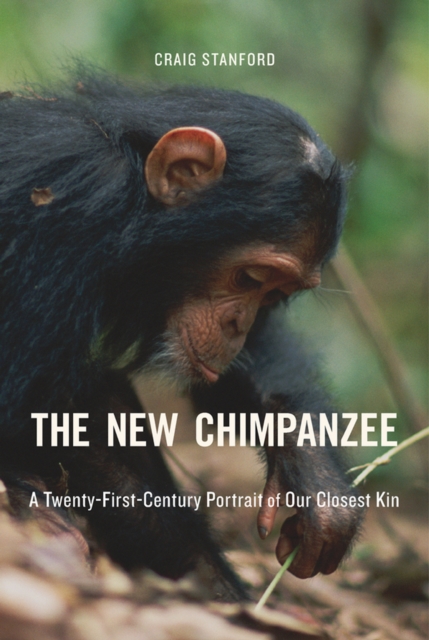 The New Chimpanzee : A Twenty-First-Century Portrait of Our Closest Kin, EPUB eBook