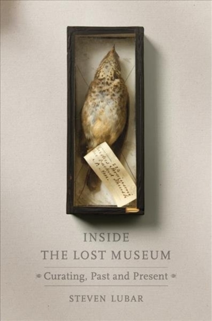 Inside the Lost Museum : Curating, Past and Present, Hardback Book