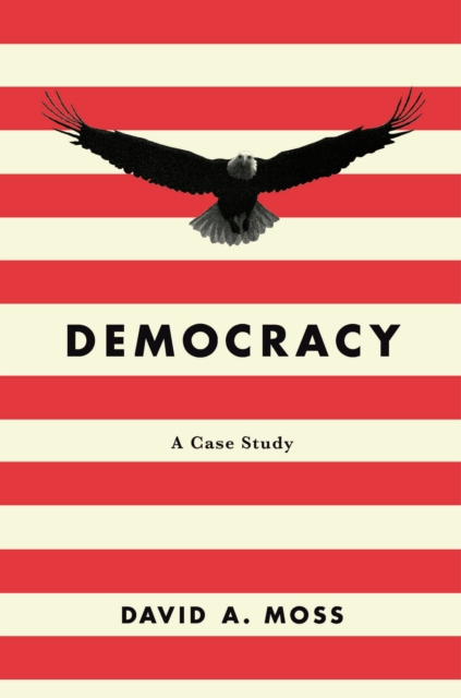 Democracy : A Case Study, EPUB eBook