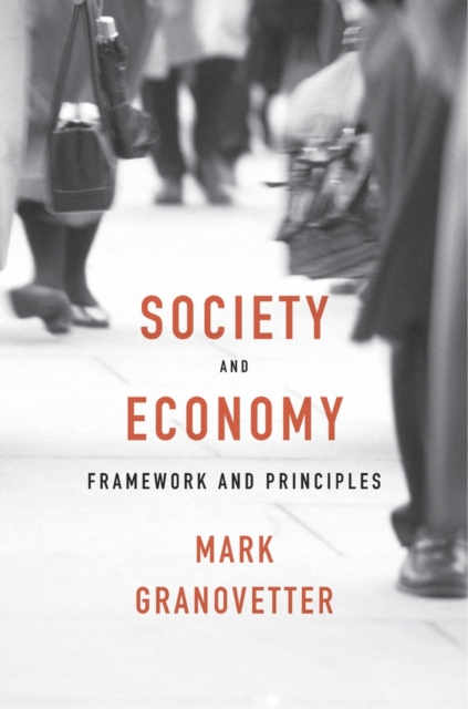 Society and Economy : Framework and Principles, Hardback Book