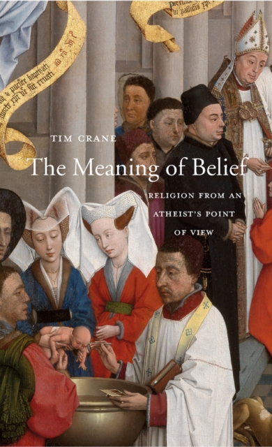 The Meaning of Belief : Religion from an Atheist's Point of View, EPUB eBook