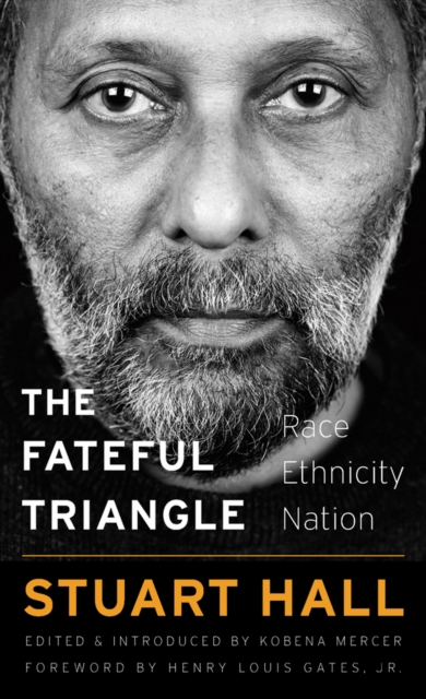 The Fateful Triangle : Race, Ethnicity, Nation, EPUB eBook