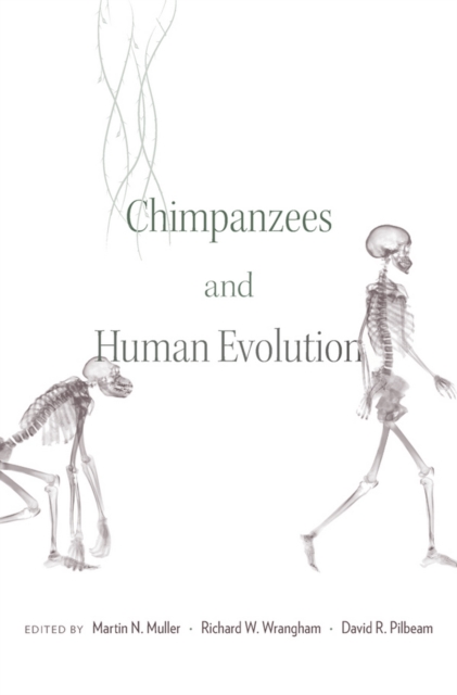 Chimpanzees and Human Evolution, EPUB eBook