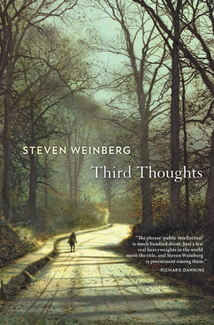 Third Thoughts : The Universe We Still Don't Know, EPUB eBook