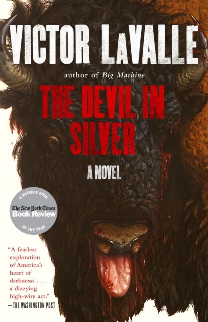 Devil in Silver, EPUB eBook