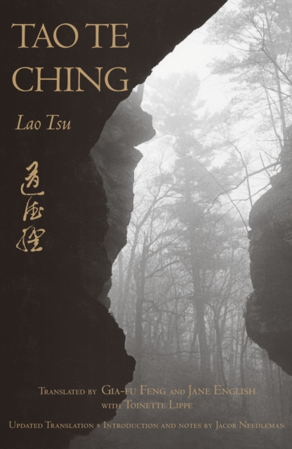 Tao Te Ching, Paperback / softback Book