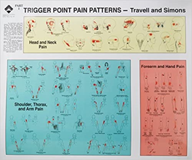 Travell and Simons' Trigger Point Pain Patterns Wall Charts, Wallchart Book