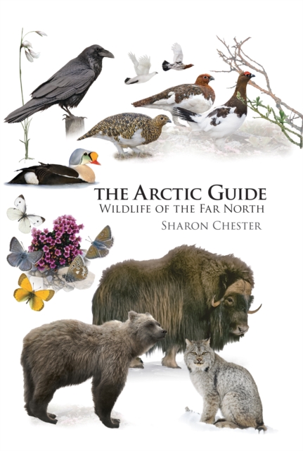 The Arctic Guide : Wildlife of the Far North, Paperback / softback Book