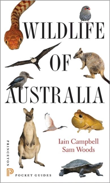 Wildlife of Australia, Paperback / softback Book