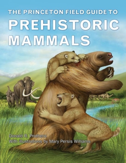 The Princeton Field Guide to Prehistoric Mammals, Hardback Book