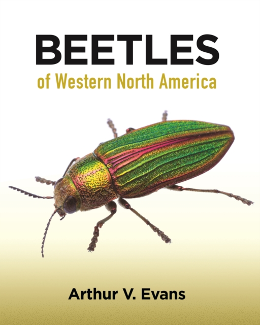 Beetles of Western North America, Paperback / softback Book
