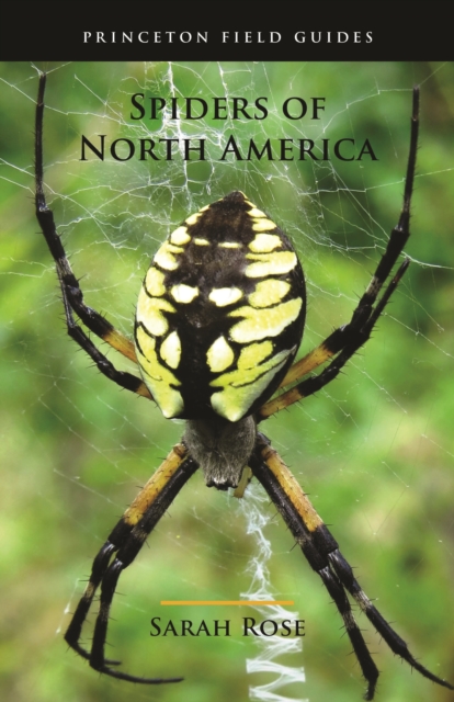Spiders of North America, Paperback / softback Book