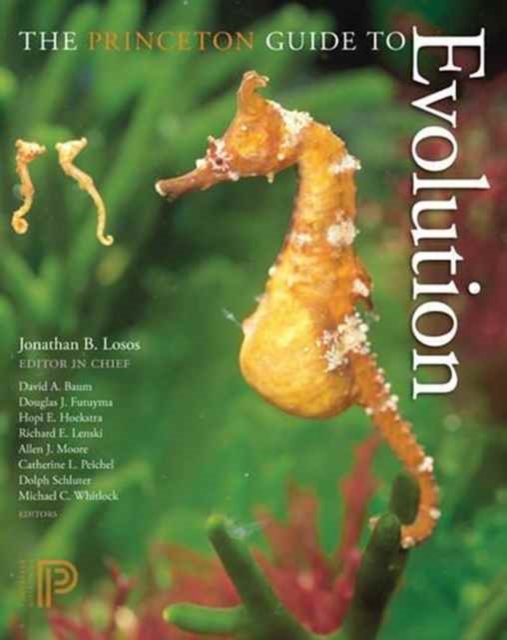 The Princeton Guide to Evolution, Paperback / softback Book