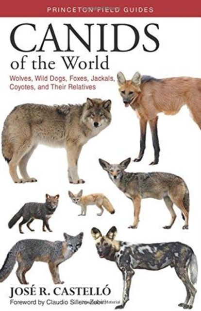 Canids of the World : Wolves, Wild Dogs, Foxes, Jackals, Coyotes, and Their Relatives, Paperback / softback Book