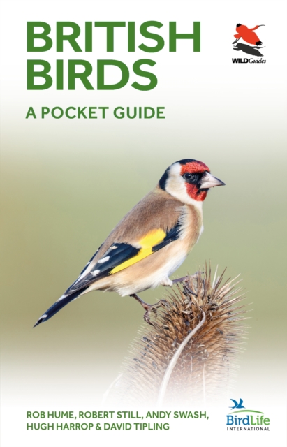 British Birds : A Pocket Guide, Paperback / softback Book