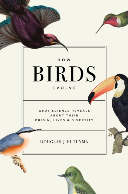 How Birds Evolve : What Science Reveals about Their Origin, Lives, and Diversity, Hardback Book