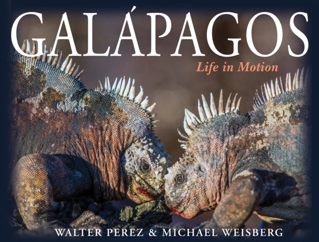 Galapagos : Life in Motion, PDF eBook