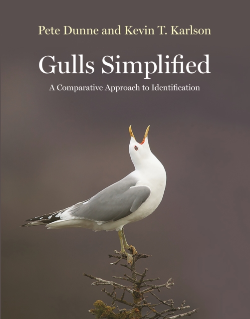 Gulls Simplified : A Comparative Approach to Identification, PDF eBook