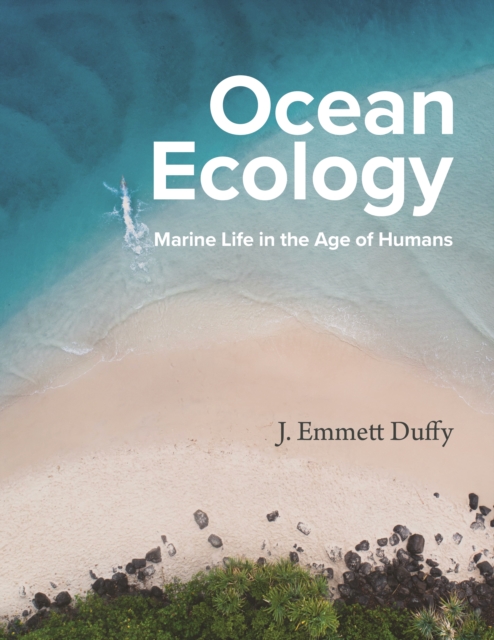 Ocean Ecology : Marine Life in the Age of Humans, PDF eBook
