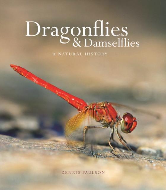 Dragonflies and Damselflies : A Natural History, EPUB eBook