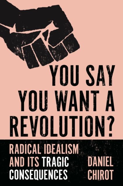 You Say You Want a Revolution? : Radical Idealism and Its Tragic Consequences, EPUB eBook