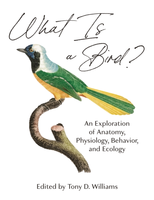 What Is a Bird? : An Exploration of Anatomy, Physiology, Behavior, and Ecology, Hardback Book