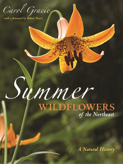 Summer Wildflowers of the Northeast : A Natural History, EPUB eBook