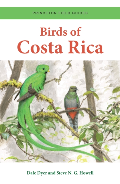 Birds of Costa Rica, Paperback / softback Book