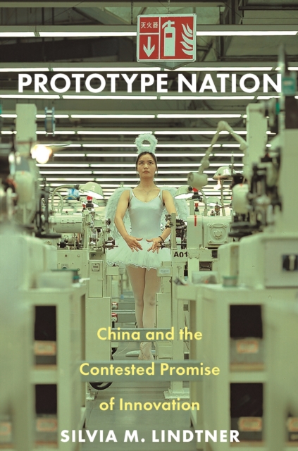 Prototype Nation : China and the Contested Promise of Innovation, EPUB eBook
