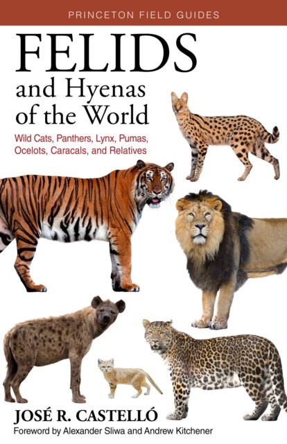 Felids and Hyenas of the World : Wildcats, Panthers, Lynx, Pumas, Ocelots, Caracals, and Relatives, Paperback / softback Book